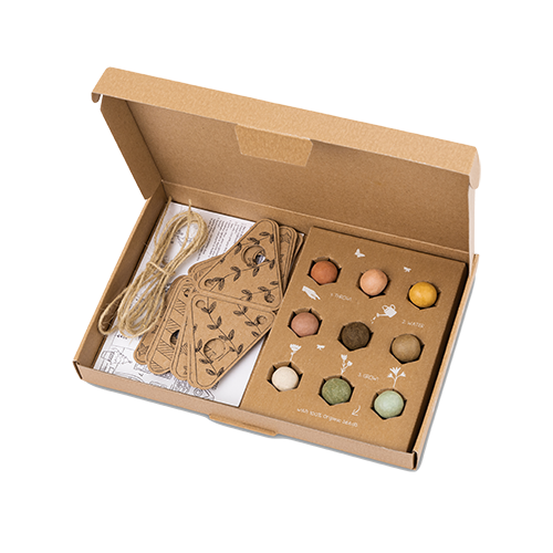 Blossombs Bloembommetje - Giftbox DIY Slingers