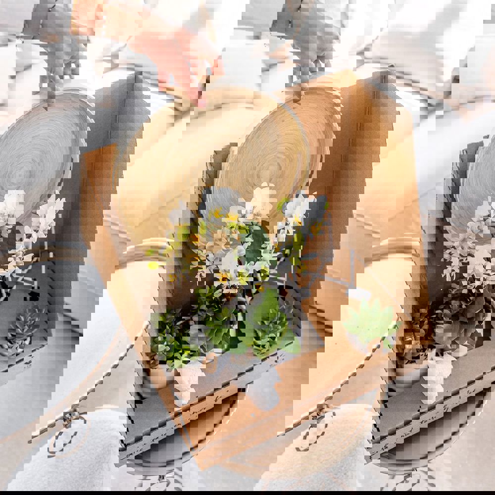 Botanical Giftset large - Travertine Charm