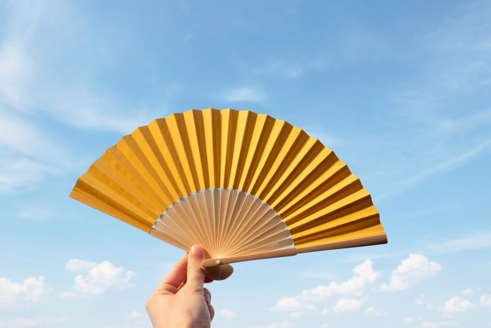 Bamboe handwaaier Elio