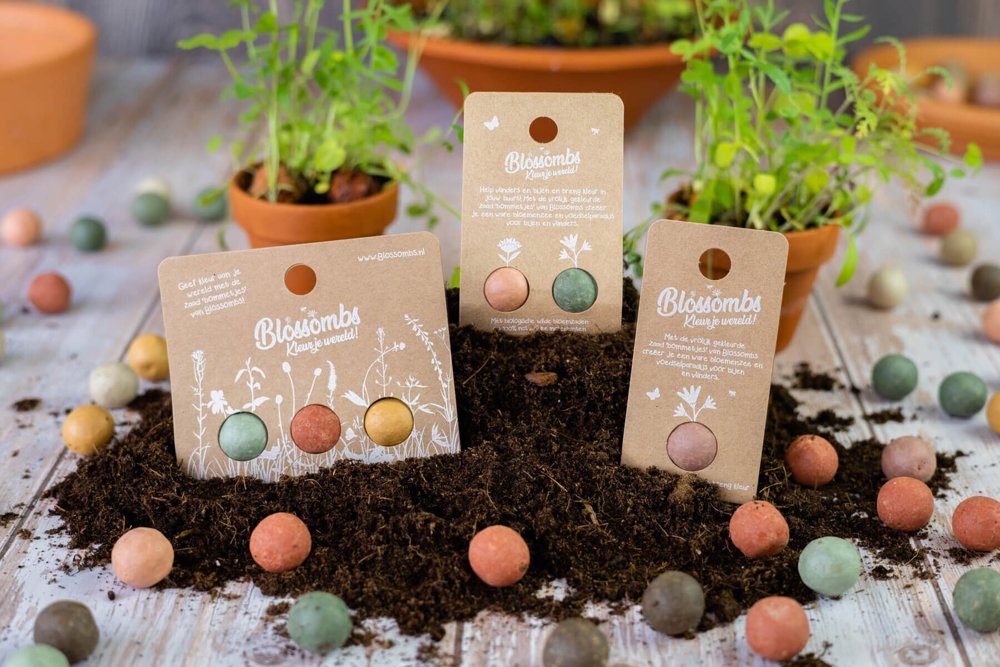 Blister - 3 stuks - Original