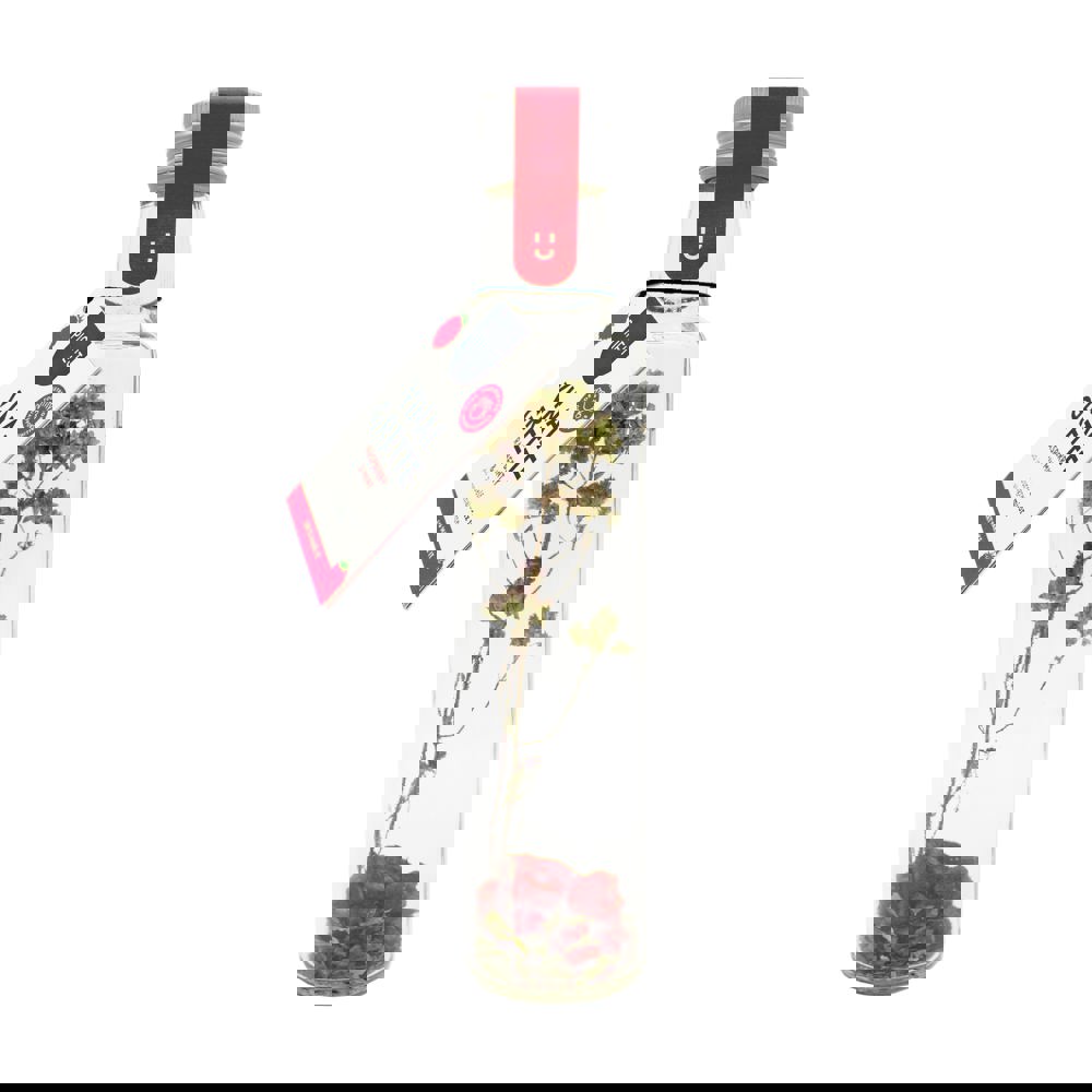 Vinaigrette | fles | Framboos, Granaatappel & Munt