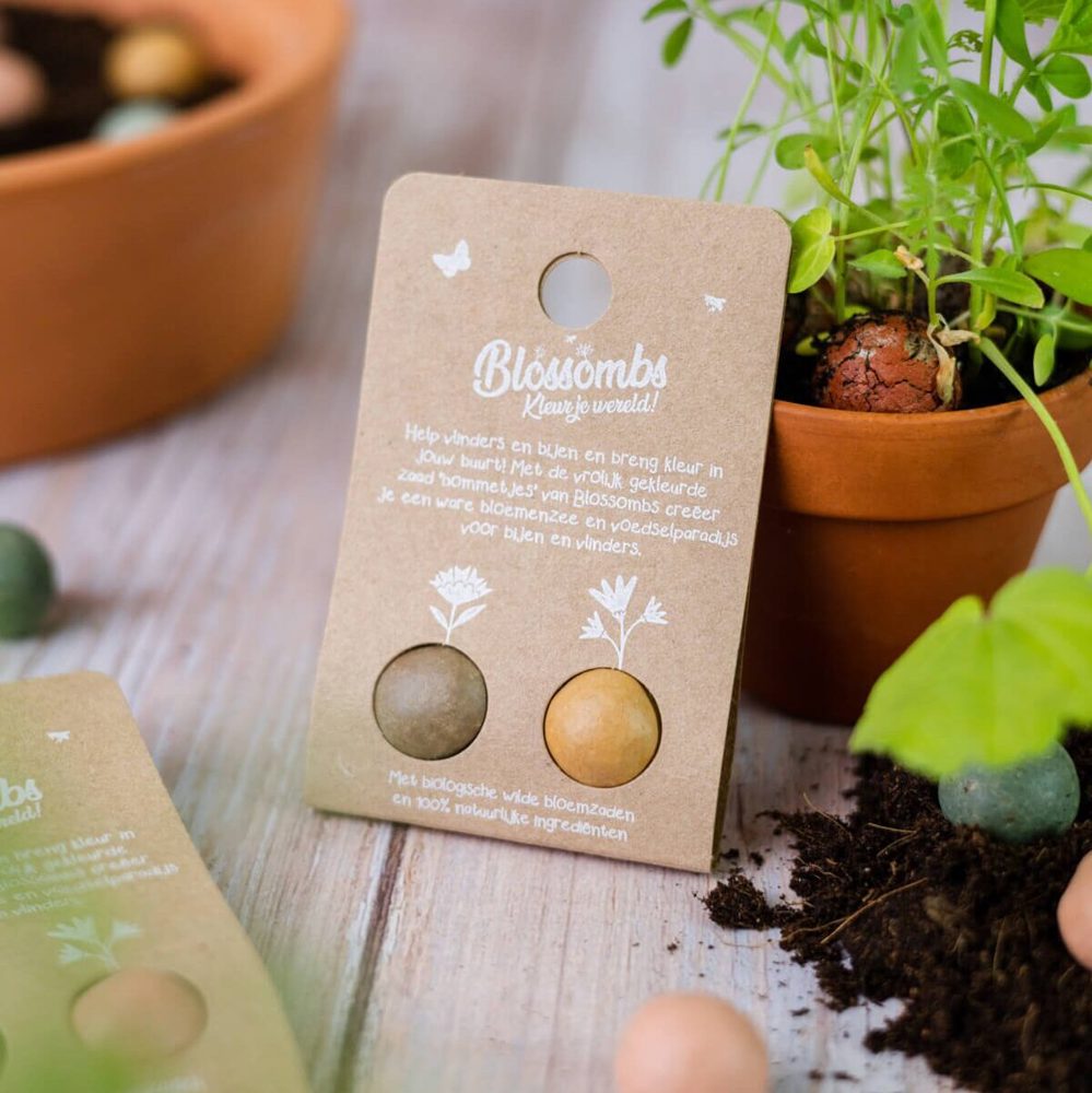 Blister - 2 stuks - Original