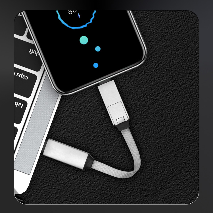 2 in 1 aluminium magnetische sleutelhanger oplaadkabel