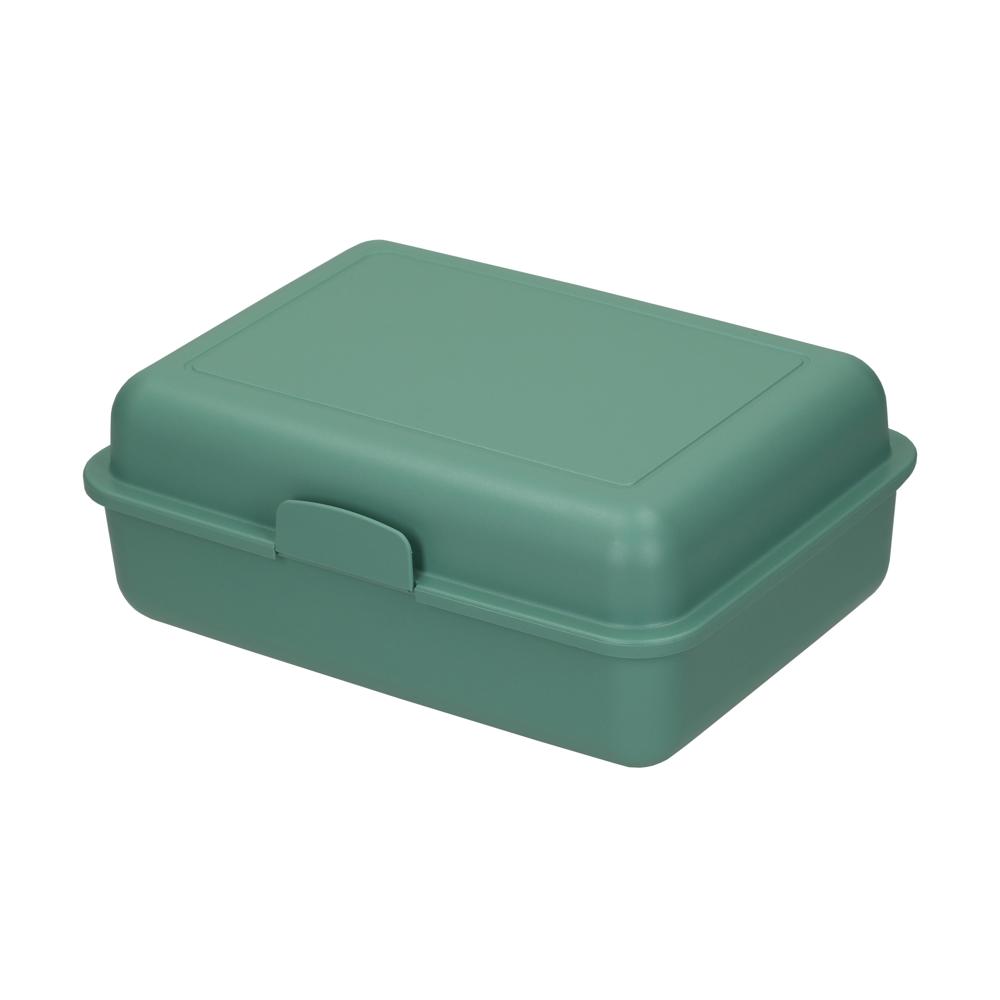 Bio-voorraaddoos "School-Box" groot - Munt