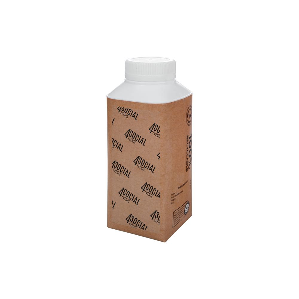 EARTH Water Tetra Pak 330 ml - brown