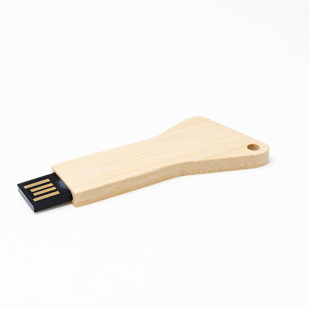 USB Flash Drive Lublin
