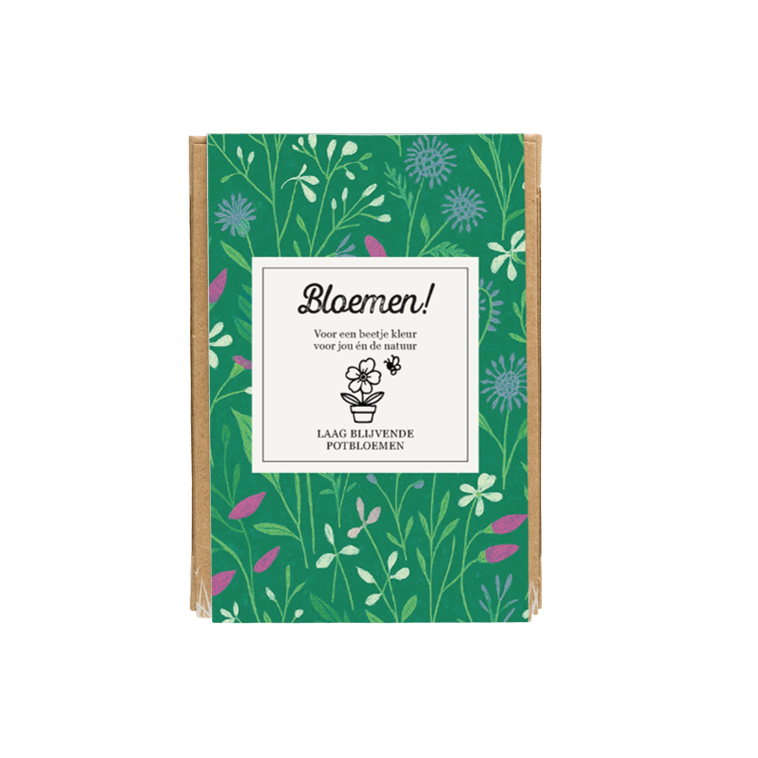 Blossombs Bloembommetje - Giftbox mini 4 stuks